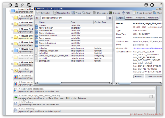 Access the content inside the Virtual File System with CMIS